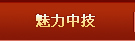魅力中技
