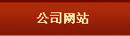 公司网站